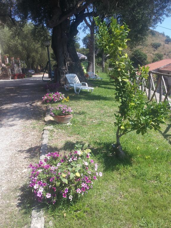 Agriturismo La Focazza Villa Ascea Exterior photo